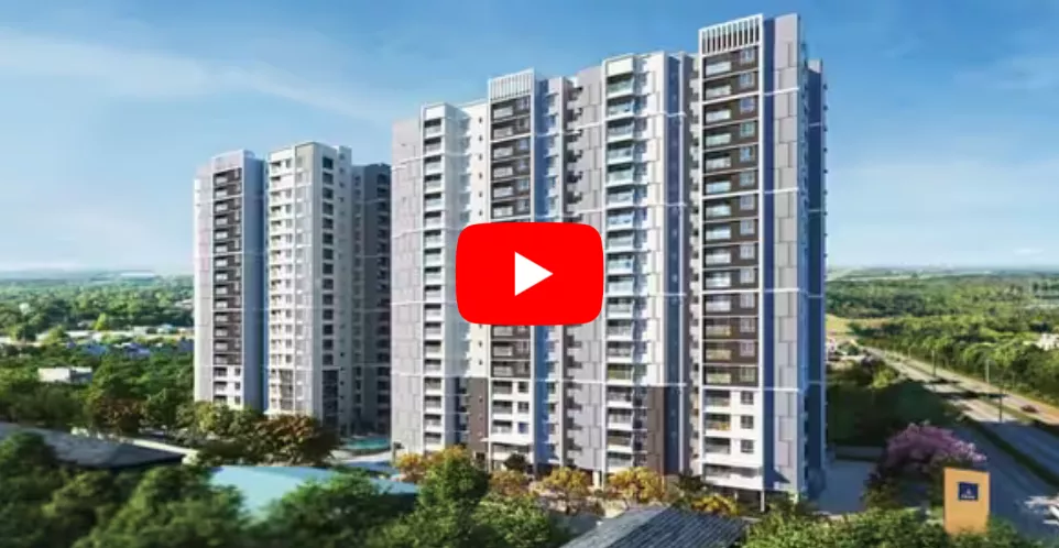 Rohit Avenue Video